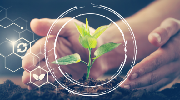 جمعية البر الخيرية